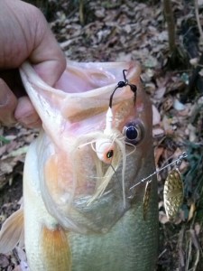 o0480064013629094509