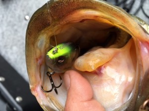 o0640048013618722396