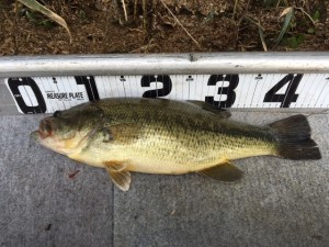 o0640048013618722525