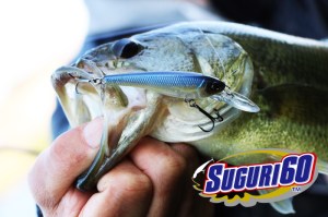 o0800053313621212763