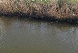 o0800054713616987825