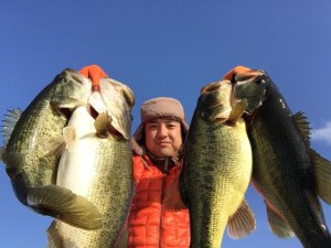 o0800060013608423577