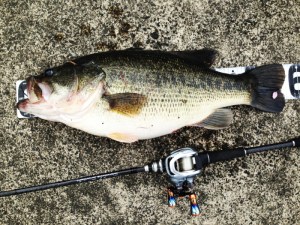 o0800060013616988049