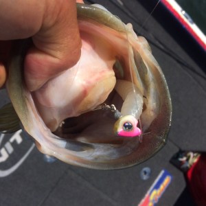 o0800080013618398167