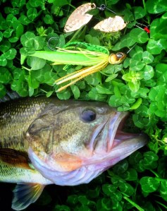 o0800101213626280969