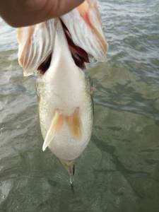 o0800106713607891320