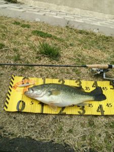 o0800106713607891321