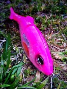 o0800106713607897319