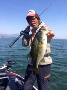 o0800106713618398166