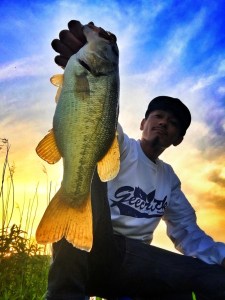 o0800106713630451854