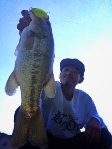 o0800106713630451856