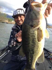 o0800107113614759849