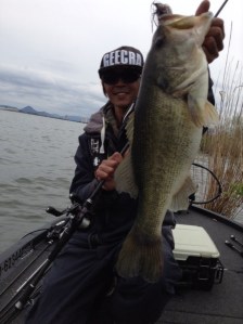 o0800107113614759850