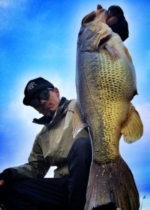 o0800111713607897318