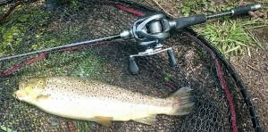 13271923_10209610752493884_1868828613_o