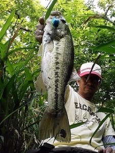 o0240032013648610827