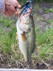 o0384051213649087739 (1)