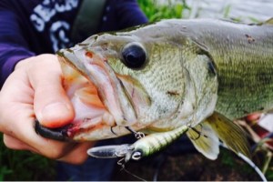 o0480032113647269861