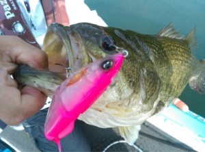 o0480035613651640165