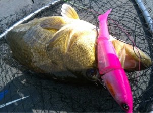 o0480035613651640208