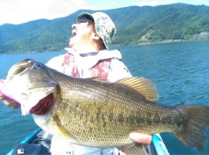 o0480035613651640257