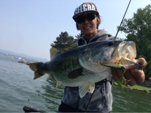 o0480035913653285069