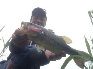 o0480036013630647477