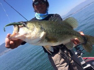 o0480036013649109505