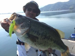 o0480036013651640349