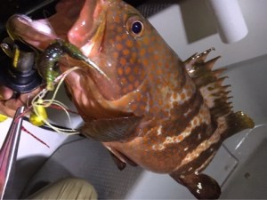 o0480036013653511322