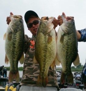 o0480051213658989076