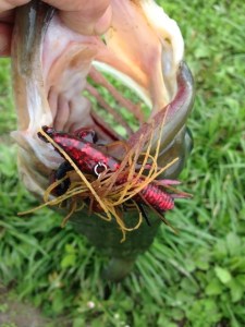 o0480064013630651193