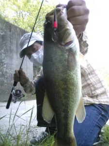 o0480064013633681746