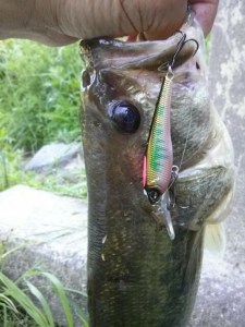 o0480064013633681752