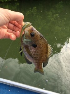 o0480064013641333732