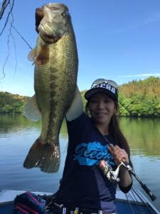 o0480064013641333733