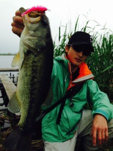 o0480064013647731229