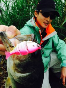 o0480064013647731238