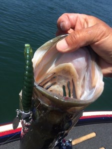 o0480064013649109518