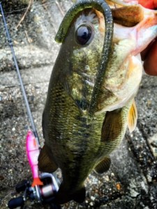 o0480064013658368681