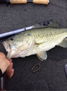 o0480064313655089351