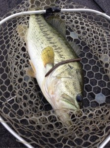 o0480064313655089359