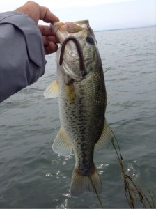 o0480064313655089372