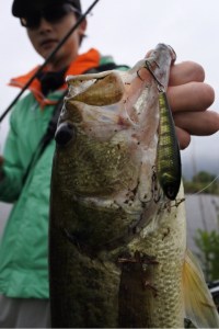 o0480072013647731214