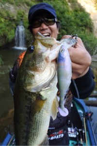 o0480072013652734525