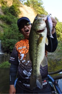 o0480072013652734634