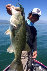 o0480072213649109514