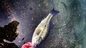 o0640036013658368682