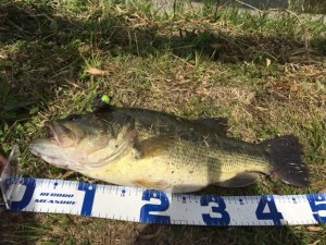 o0640048013630457577