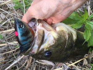 o0640048013630457760